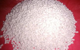 微信圖片_20220421140234 微信圖片_20220421140234